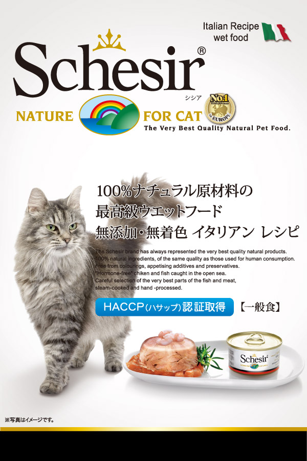 栄養価の高いウエットフード Schesir シシア キャットフード パウチタイプ ツナ&チキンフィレ&エビ 50g 【猫/ウェットフード/無添加/オーガニック】
