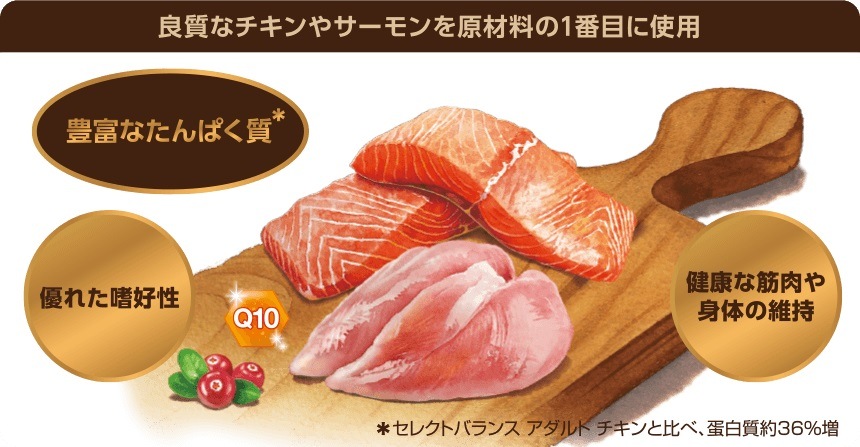 穀物不使用 セレクトバランス ググレインフリー アダルト サーモン 小粒 6kg 【犬/ドックフード/成犬】