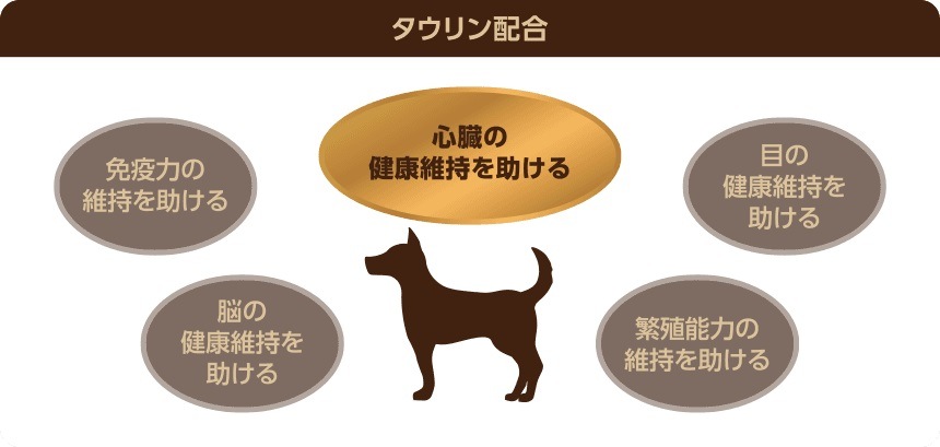 穀物不使用 セレクトバランス ググレインフリー アダルト サーモン 小粒 6kg 【犬/ドックフード/成犬】