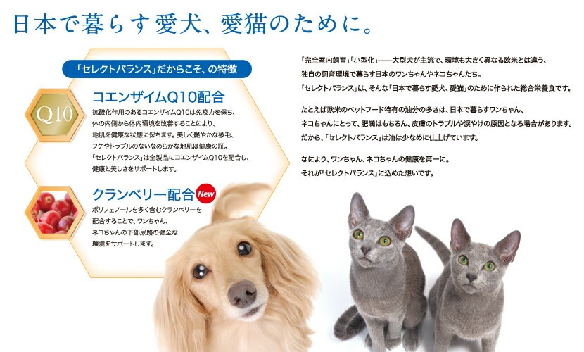 高齢犬に必要な栄養をバランスよく配合 セレクトバランス エイジング チキン 1kg 小粒 シニア 【犬/ドックフード/高齢犬】
