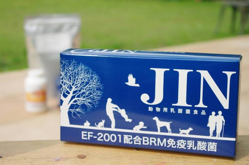 【送料無料】ペット用 動物用乳酸菌食品 JIN ジン 1箱 90包入 粉末 EF-2001 【犬/猫/ペット/乳酸菌/サプリ/サプリメント/免疫】