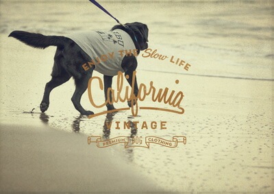 【あす楽】【メール便対応可】愛犬とのお散歩・普段使いにもCalifornia Vintage カリフォルニアヴィンテージコットンバッグ【犬/お散歩/バッグ/ウンチバッグ】