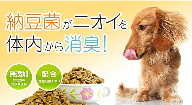 肥満問題を抱える愛犬に Drs. Choice ドクターズチョイス ドッグフード ライト 体重管理用 ラム&玄米 中粒 6kg 【犬/肥満/ダイエット】