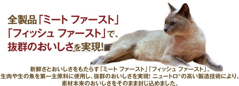 正規品 ニュートロ キャットフード ナチュラルチョイス フィッシュシリーズ 室内猫用 アダルト サーモン 500g 【キャットフード/成猫/室内猫】