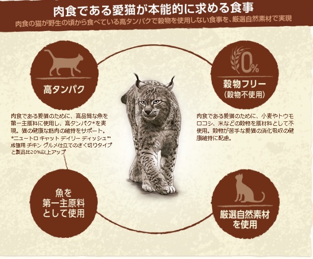 少量使いきりタイプ ニュートロ キャット ワイルドレシピ 成猫用 チキン&ビーフ 75g 噛み応え ざく切りタイプ トレイ 【キャットフード/成猫/ウェットフード】