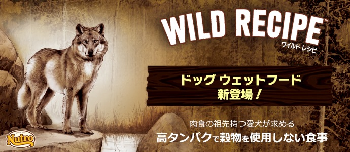 ニュートロ ワイルド レシピ ウェットフード ターキー&ラム 成犬用 100g トレイタイプ【ドッグフード/穀物フリー/アレルギー/自然素材/】