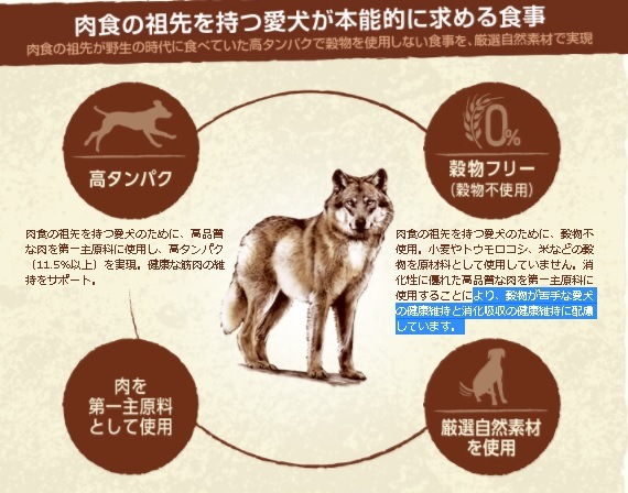 ニュートロ ワイルド レシピ ウェットフード ターキー&ラム 成犬用 100g トレイタイプ【ドッグフード/穀物フリー/アレルギー/自然素材/】