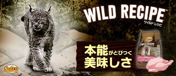 ニュートロ キャット ワイルド レシピ エイジングケア チキン シニア猫用 1kg【猫/餌/穀物フリー】