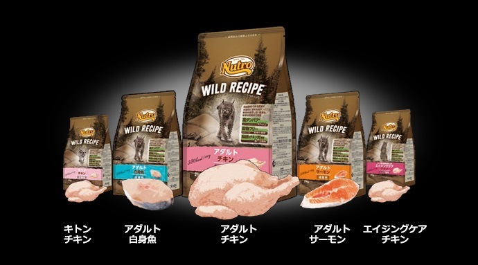 ニュートロ キャット ワイルド レシピ エイジングケア チキン シニア猫用 1kg【猫/餌/穀物フリー】