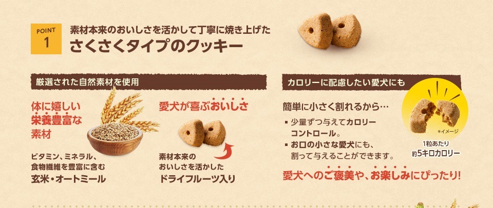 100%自然素材 ニュートロ アップル入り 玄米・オートミール クッキー 100g【犬/おやつ/アレルギー】