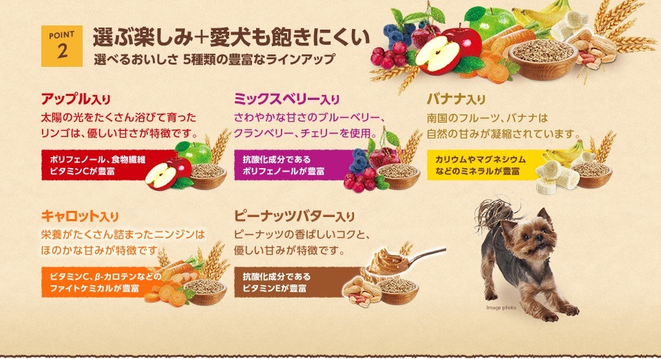 100%自然素材 ニュートロ アップル入り 玄米・オートミール クッキー 100g【犬/おやつ/アレルギー】