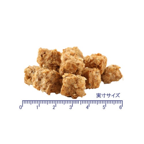 レッドフィッシュ100%のデンタルケアトリーツ。 フィッシュ4ドッグ フィッシュキューブ 100g 【犬/おやつ/魚/無添加/穀物不使用】