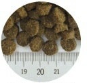 First Mate ファーストメイト ドッグフード パシフィックオーシャンフィッシュ スモールバイツ(小粒)2.3kg 【犬/ドックフード/無添加/穀物不使用/アレルギー/魚】