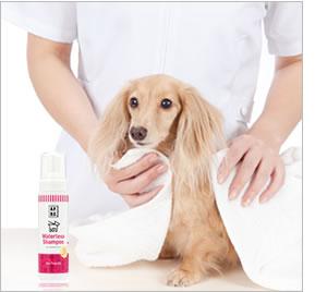 ペットの乾燥をやさしくケア APDC モイスチャーミスト 125ml 【犬/乾燥/保湿/フケ/かゆみ】 化粧水 肌トラブル 低刺激 ペットケア ペットケアグッズ グッズ