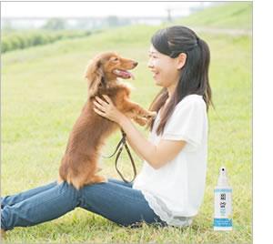 夏の暑さをクールダウン APDC クールミスト 125ml 【犬/夏バテ/涼しい】