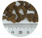 First Mate ファーストメイト キャットフード チキン ウィズ ブルーベリー 猫用 1kg【猫/キャットフード/無添加/穀物不使用/アレルギー/】