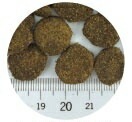 First Mate ファーストメイト ドッグフード チキンウィズブルーベリー 2.3kg【犬/ドックフード/無添加/穀物不使用/アレルギー】