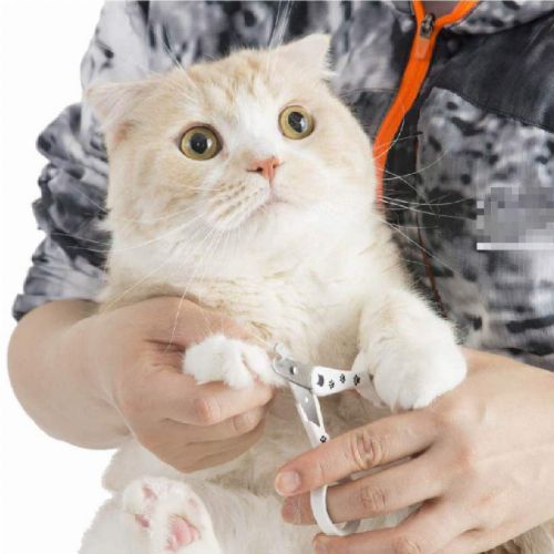 猫用爪切り ストレスなくスパッと切れる猫用爪切り 日本製【猫/爪切り/】
