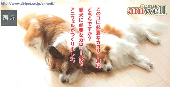 栄養補給が必要な愛犬に aniwel アニウェル ドッグフード ハイカロリー 150g 【犬/シニア/栄養補給/ドッグフード】