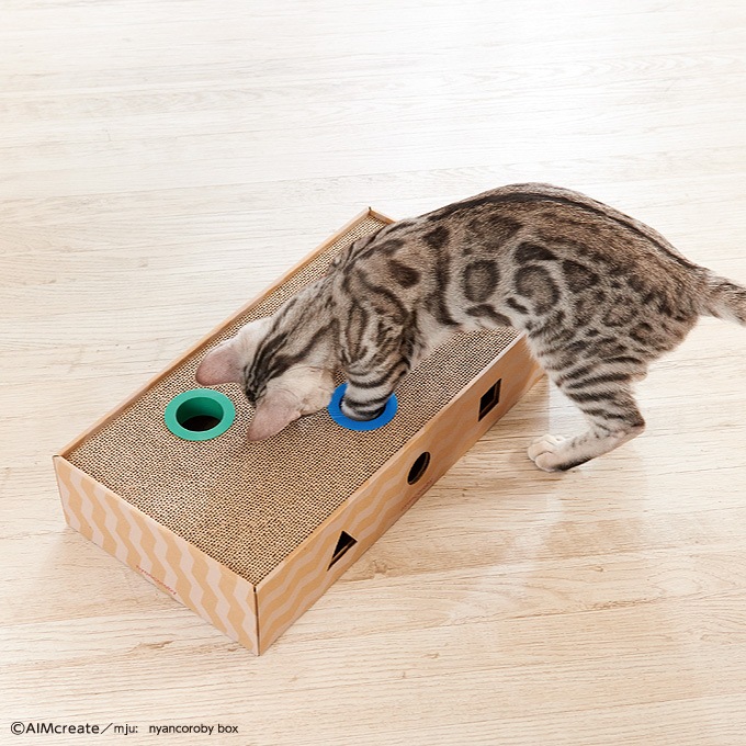 五感を刺激する爪とぎ付きおもちゃ mju ニャンコロビー ボックスタイプ【猫/爪とぎ/ストレス】
