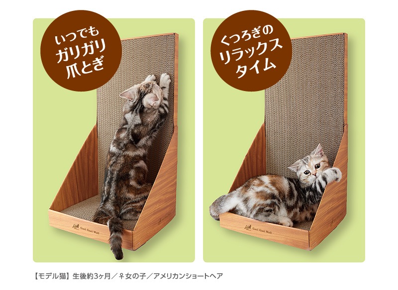 仔猫のうちから“ガリガリ”習慣 mju ガリガリウォール インテリア ミニ【猫/爪とぎ/ストレス/子猫】