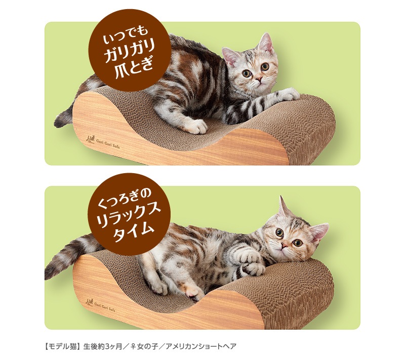 仔猫のうちから“ガリガリ”習慣 mju ガリガリソファ インテリア ミニ【猫/爪とぎ/ストレス/子猫】
