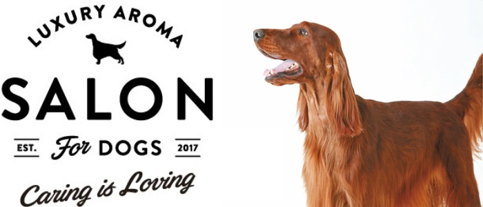 皮膚が弱い子でも、美しく サロンフォードッグス ミネラルセット 300ml SALON FOR DOGS シャンプー&コンディショナー 【犬/シャンプー/皮膚ケア】
