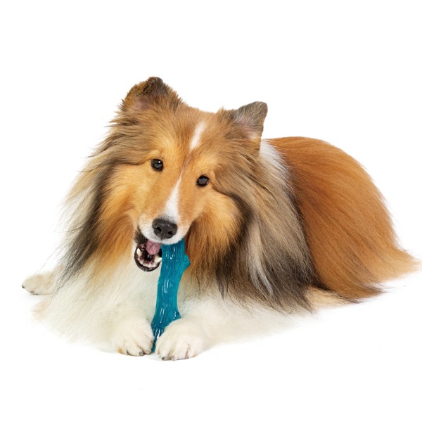 ウッディーとオルカの最強コンビペットステージ ウッディー・アンド・オルカ 2個セット 【犬/おもちゃ/骨/丈夫/噛む】