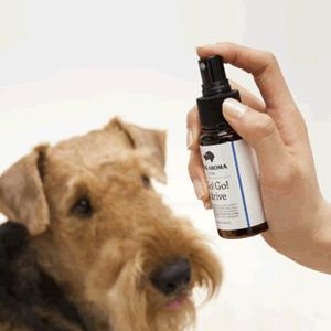 愛犬とのドライブを楽しく!乗り物酔い防止ブレンド ドッグアロマ DOG AROMA mist ゴーゴードライブ 50ml 【犬/乗り物/酔い/アロマ】