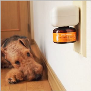 ワンちゃんの気力を向上 DOG AROMA mist フォーエバーヤング プラグセット 25ml 【犬/アロマ/リラックス】