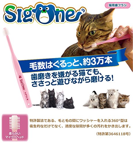 【メール便対応可】 360°のペット用歯ブラシ シグワン 猫用 歯ブラシ 【猫/歯ブラシ/簡単】