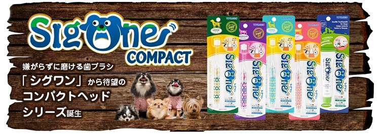 【メール便対応可】 360°のペット用歯ブラシシグワン コンパクト歯ブラシ キャット 【猫/歯ブラシ/簡単】