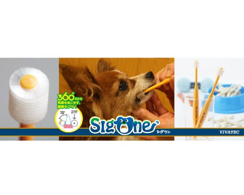 【メール便対応可】 360°のペット用歯ブラシ シグワン 子犬用 歯ブラシ 【犬/猫/歯ブラシ/簡単/子犬/子猫】