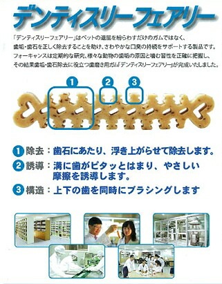 【メール便対応可】食べて犬の歯を守るガム フォーキャンス デンティスリーフェアリー M 中小型犬用 6個入り 【犬/歯磨き/ガム/おやつ/】