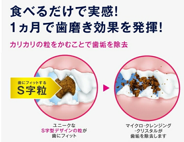 【送料無料】Eukanuba ユーカヌバ ドックフード 離乳期~24ヶ月齢用 子犬用 大型犬種 大粒 7.5kg 【大型犬/子犬/ドッグフード】