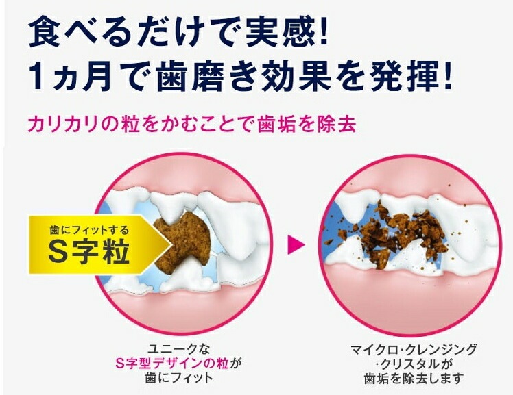 【送料無料】Eukanuba ユーカヌバ ドックフード 離乳期~12ヶ月齢用 子犬用 小・中型犬種 超小粒 7.5kg 【小型犬/子犬/中型犬/ドッグフード】