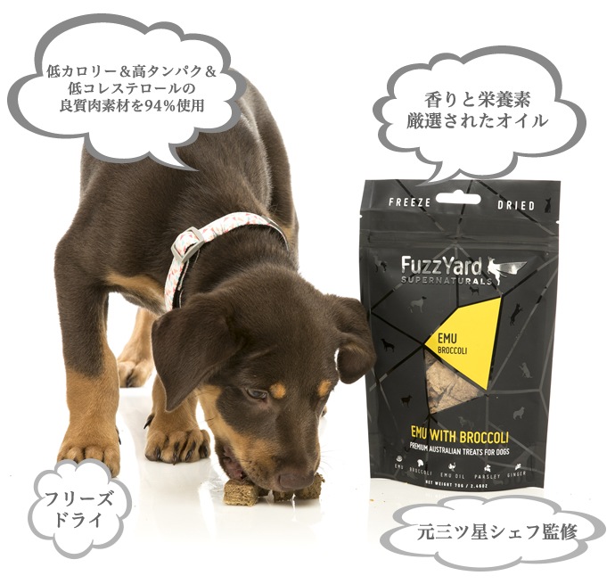 フーズドライトリーツ ファズヤード キャット スーパーナチュラルズ シーフードwithほうれんそう 35g 【猫/おやつ/】
