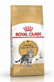 【正規品】ロイヤルカナン ノルウェージャン フォレスト キャット 2kg【お一人様5個まで】
