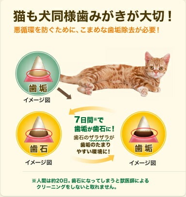 【メール便対応可】正規品 猫用 グリニーズ 香味サーモン味 60g 【猫/おやつ/歯磨き/グリニーズ】
