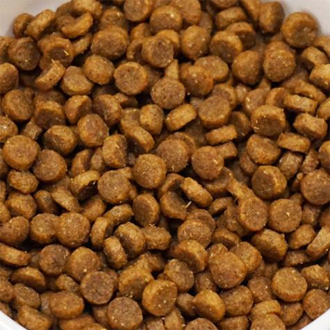 【赤い被毛のケアに】ネイチャーズプロテクション スーペリアケア レッドコート1.5kg 【猫/おやつ/歯磨き/グリニーズ】