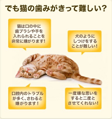 【メール便対応可】正規品 猫用 グリニーズ チキン&サーモン味 60g 【猫/おやつ/歯磨き/グリニーズ】