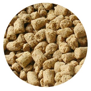手作り食に近いフード バツグン シニア ドッグフード 1kg BATSUGUN 国産無添加 【犬/ドッグード/国産】