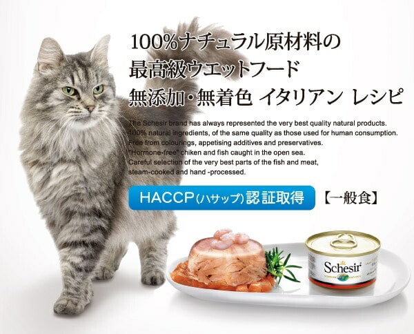栄養価の高いウエットフード Schesir シシア キャットフード マルチパック 「ツナ&ライス」 50g×6個パック 【猫/ウェットフード/無添加/オーガニック】