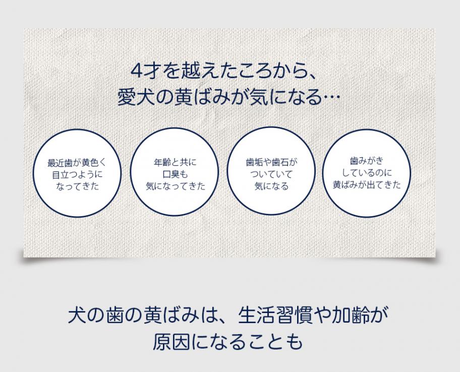 犬用オーガニック美白歯みがき made of Organics for Dog オーガニック ドッグ トゥースペースト ホワイトニング ピーチ 50g 【犬/歯磨き/黄ばみ/ホワイトニング/】