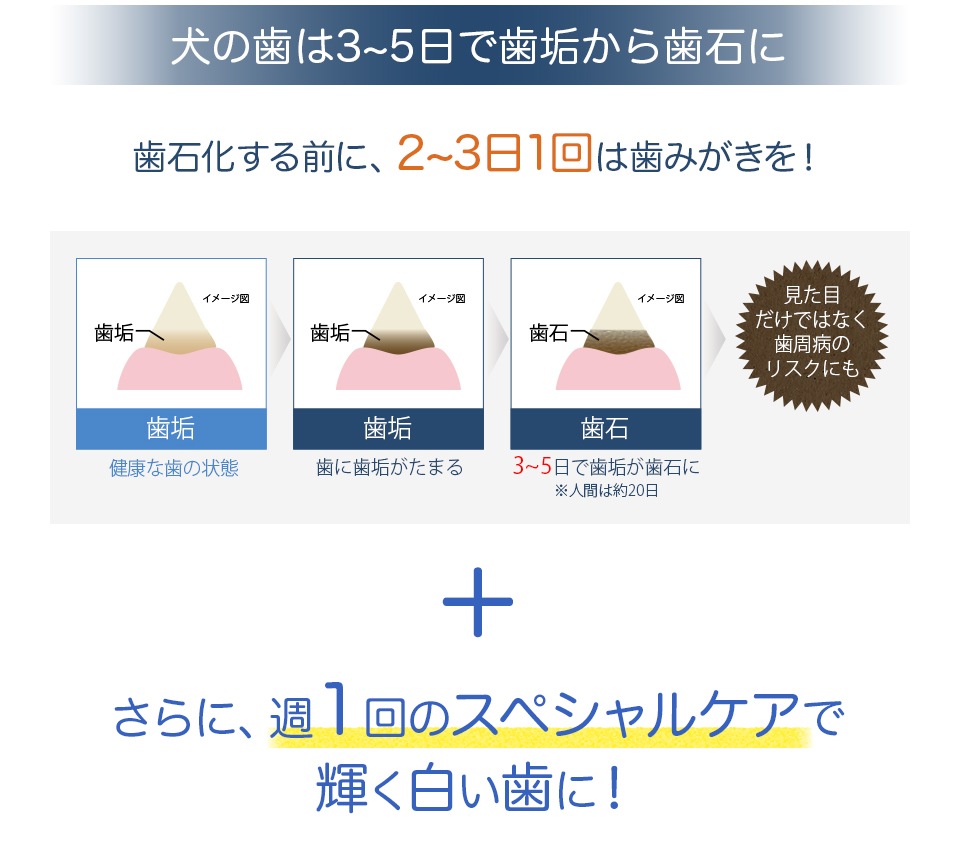 犬用オーガニック美白歯みがき made of Organics for Dog オーガニック ドッグ トゥースペースト ホワイトニング ピーチ 50g 【犬/歯磨き/黄ばみ/ホワイトニング/】