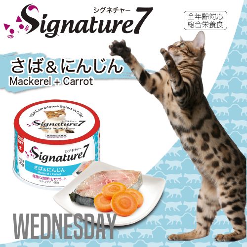 シグネチャー7 さば&にんじん ネコ 猫 総合栄養食 グレインフリー グレイビー 70g Signature7【猫//キャットフード/】