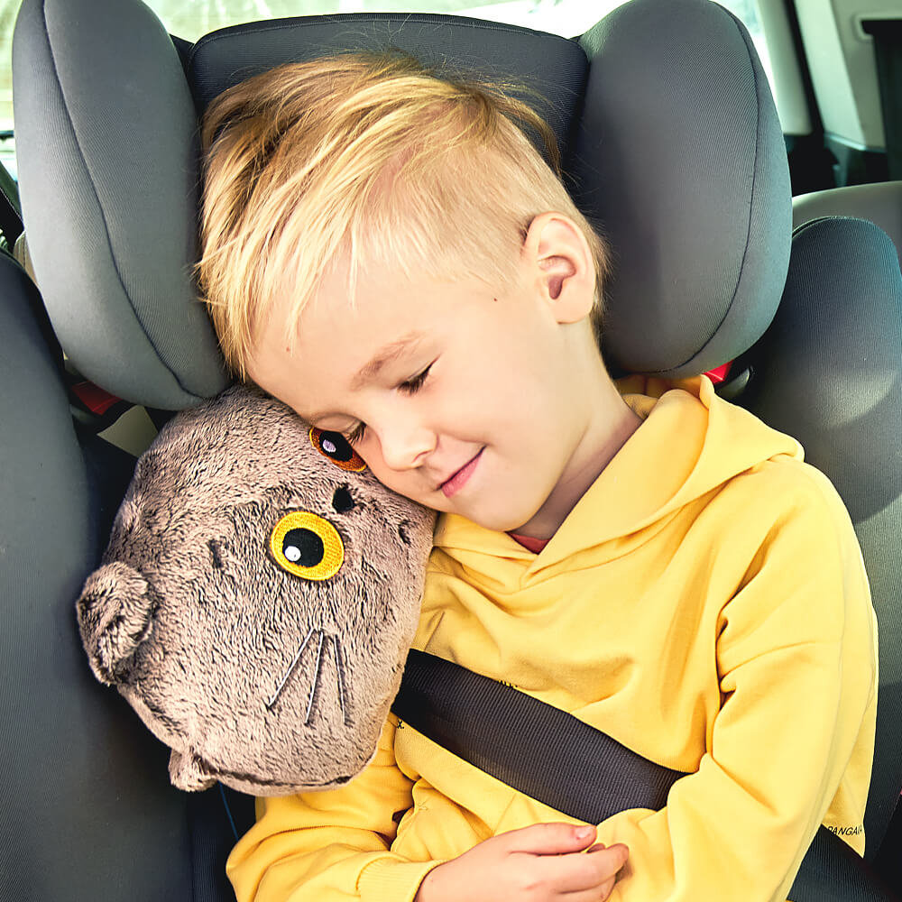 Basik ドライブ用クッション 