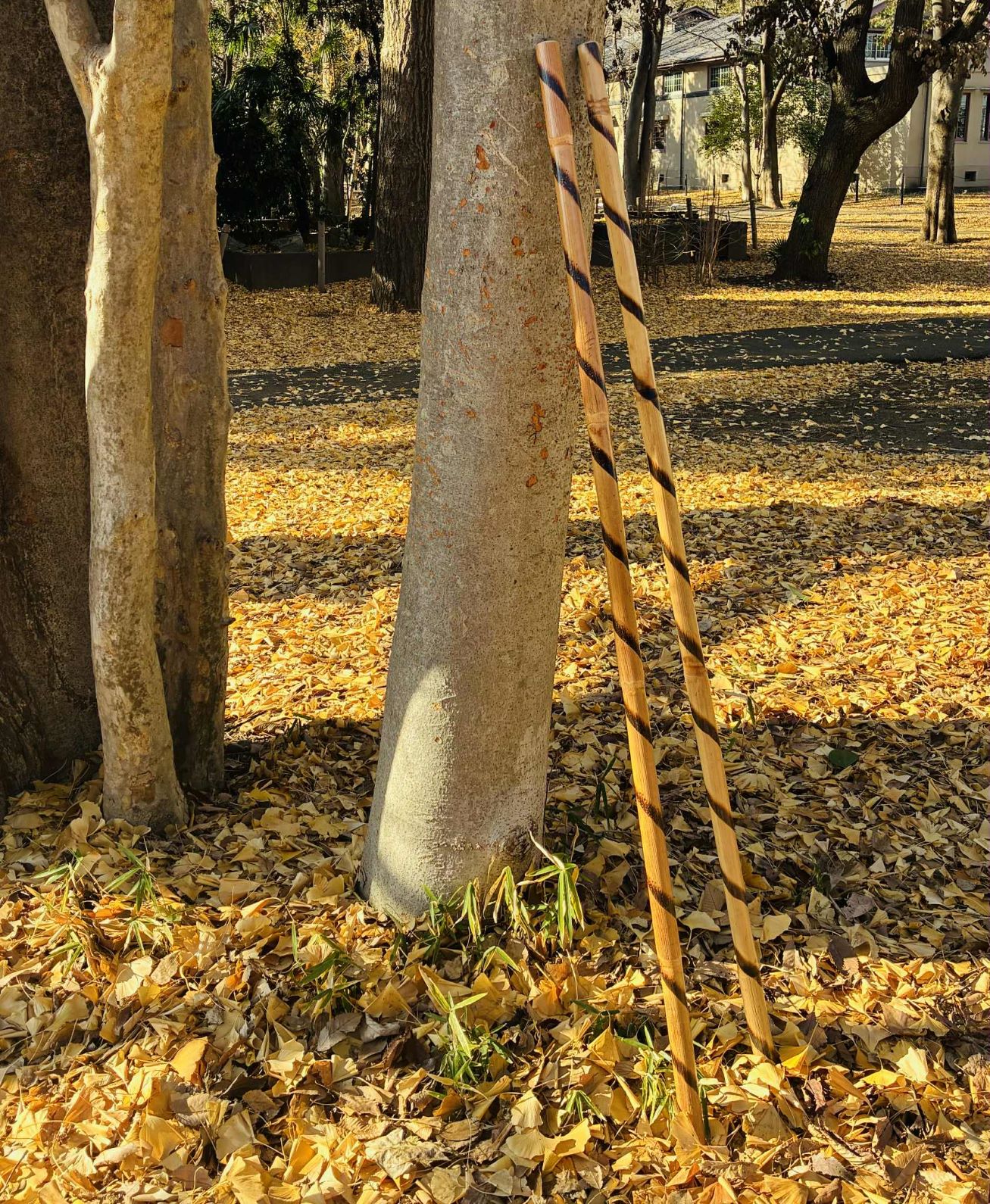 �饿���� ���󥰥��ƥ��å� 128cm  ������̵���оݳ���