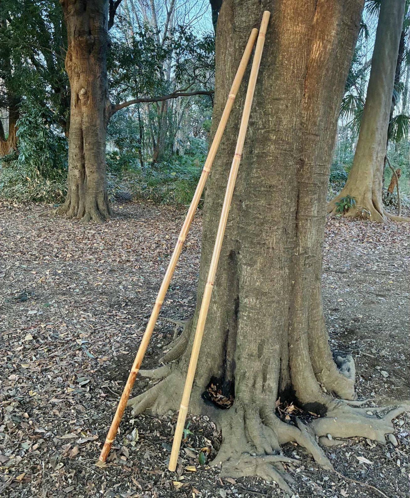 ϻ���� �饿���� ���󥰥��ƥ��å� TAPADO ���Хå� ���������� 183cm  ������̵���оݳ���