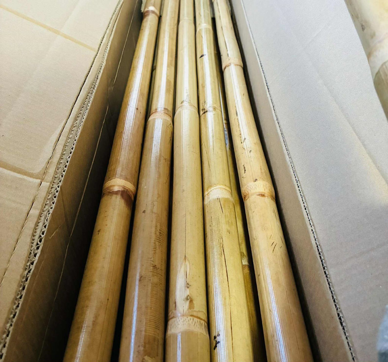 ϻ���� �饿���� ���󥰥��ƥ��å� TAPADO ���Хå� ���������� 183cm  ������̵���оݳ���